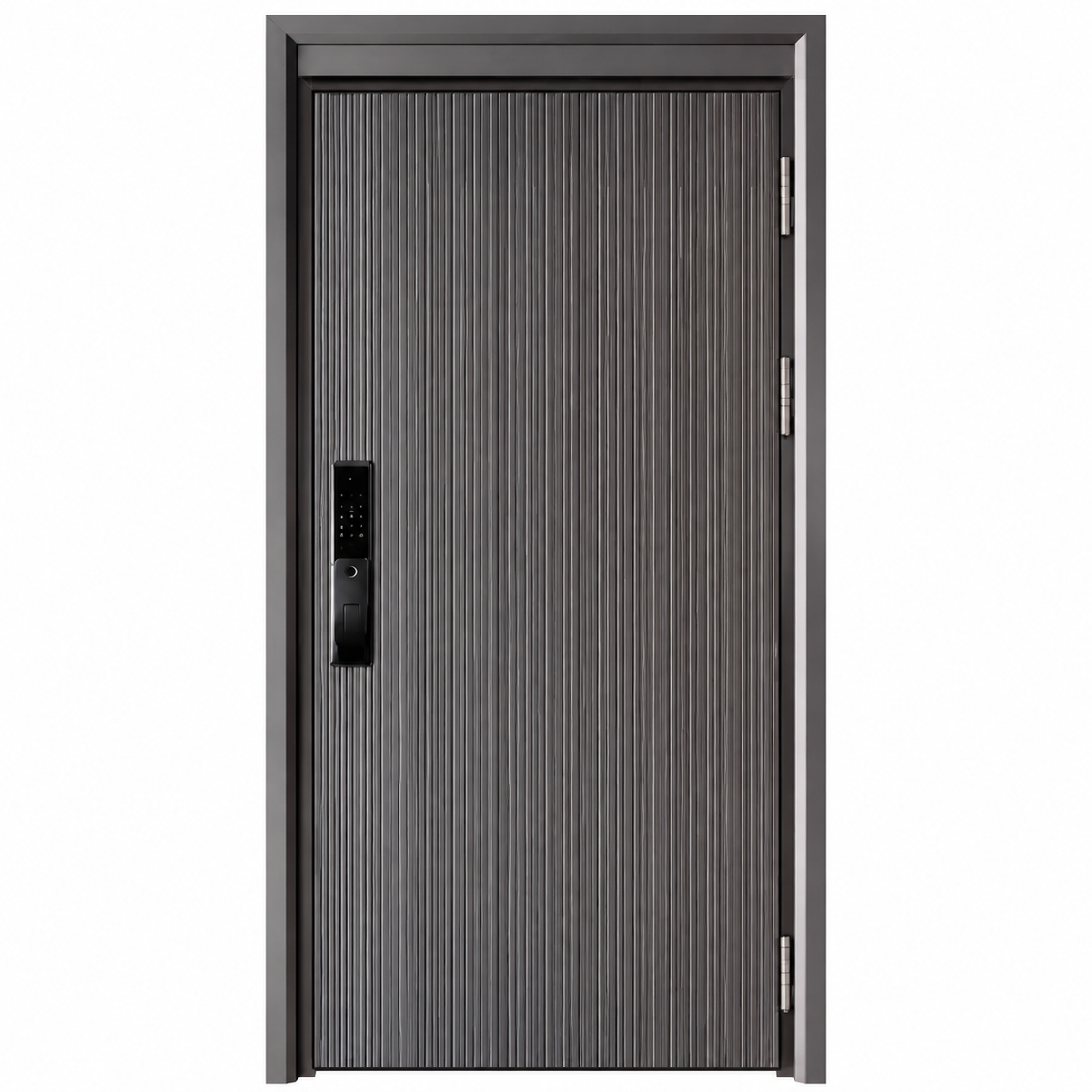 Aluminum Entry Door (Security)