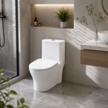 Household Fully Glazed Trapway Toilet — Ergonomic Comfort for Extended Sitting